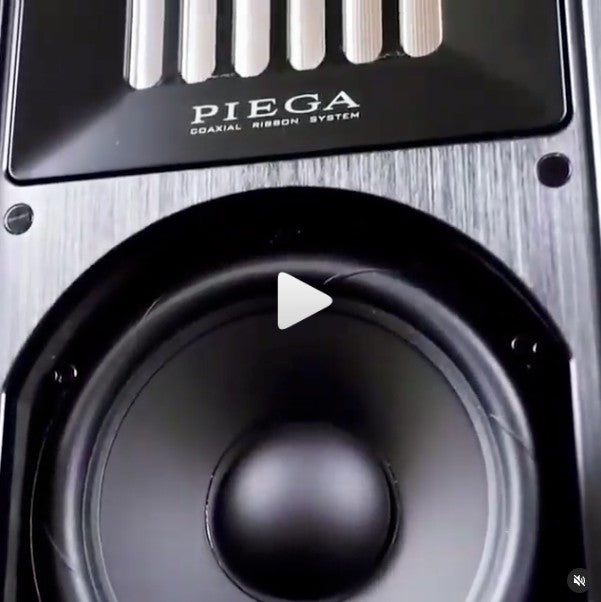 @Hifi.Turtle and The Piega Coax 311! Schroeder Amplification